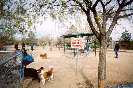Rio Rancho Sports Complex and Dog Park photo 2